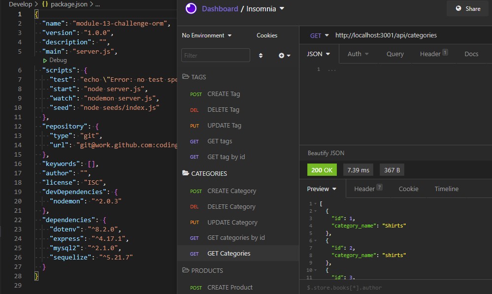 Package.json and Insomnia.